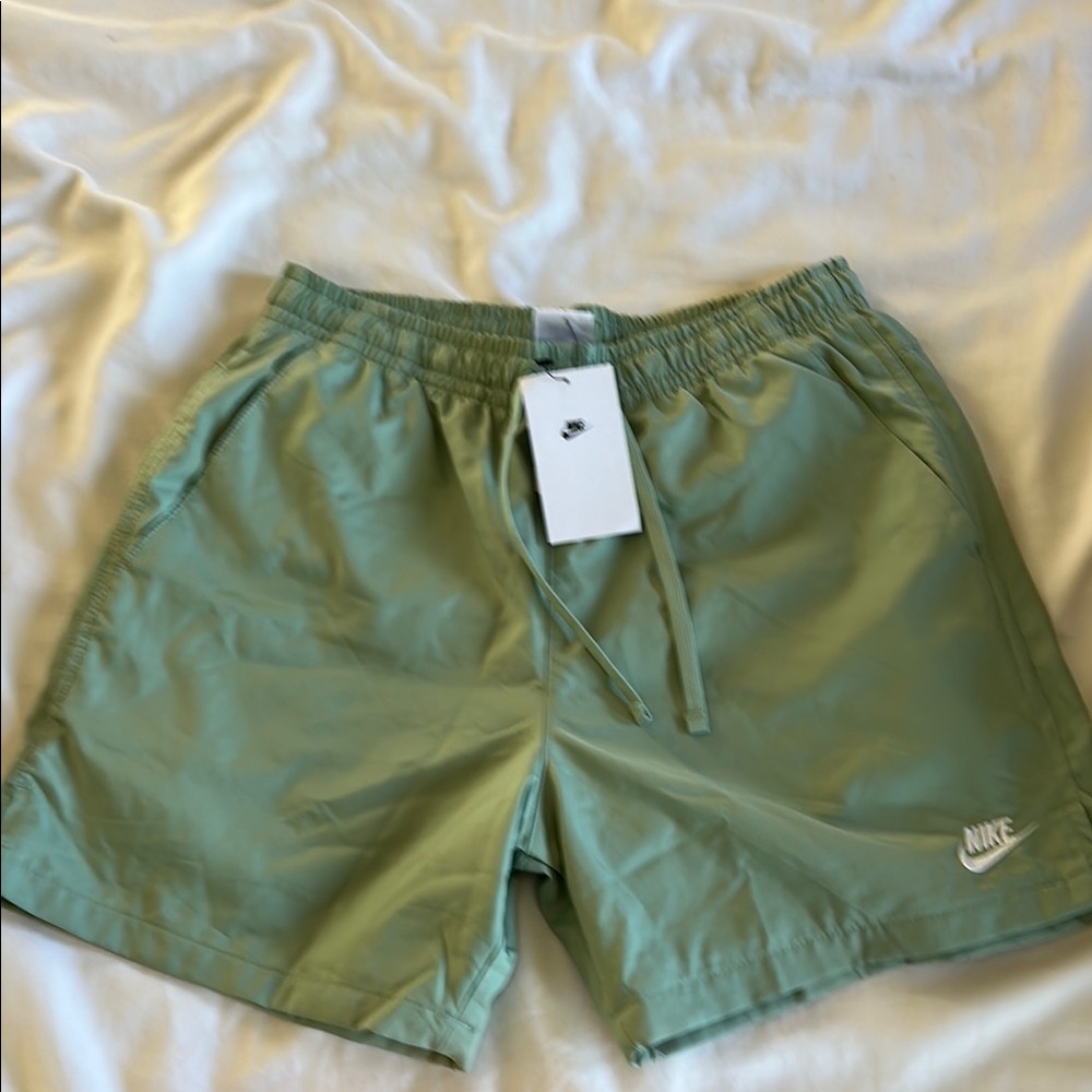 Nike Men's mint green Athletic Shorts